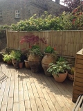 Fine Fencing Burley