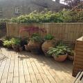 images/decking/Img_0595.jpg