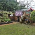 images/gardenmakeovers/Img_0004.jpg