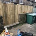 images/pale/IMG_0709.jpg