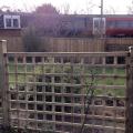 images/trellis/Img_1857.jpg