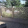 images/trellis/Img_2905.jpg